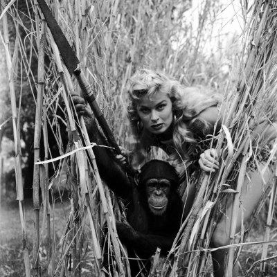 Susannah York photo Samantha Fox pictures